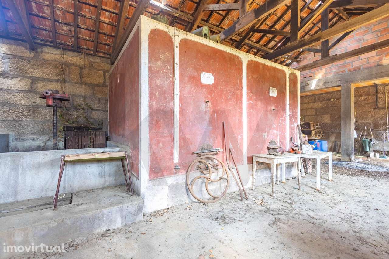 Quinta do Fojo / T8 / Vinhas / Oliveiras - Grande imagem: 5/31