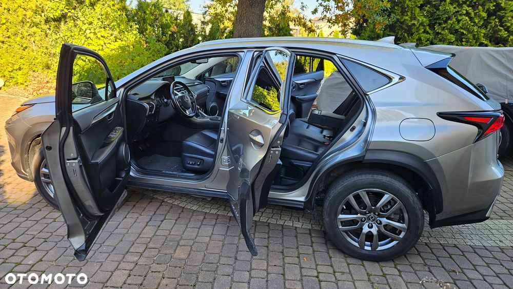 Lexus NX 300h Prestige AWD - 15