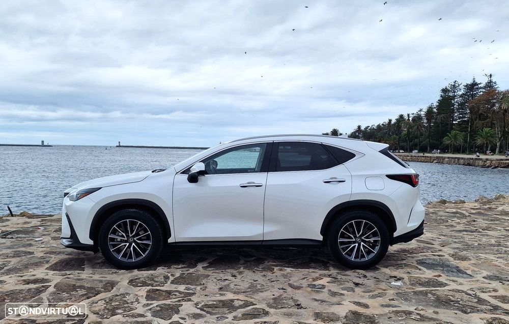 Lexus NX 450h+ - 4