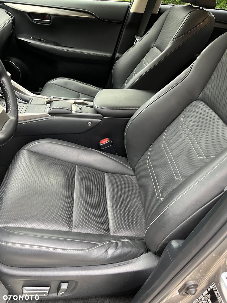 Lexus NX 300h F Sport Edition AWD - 12