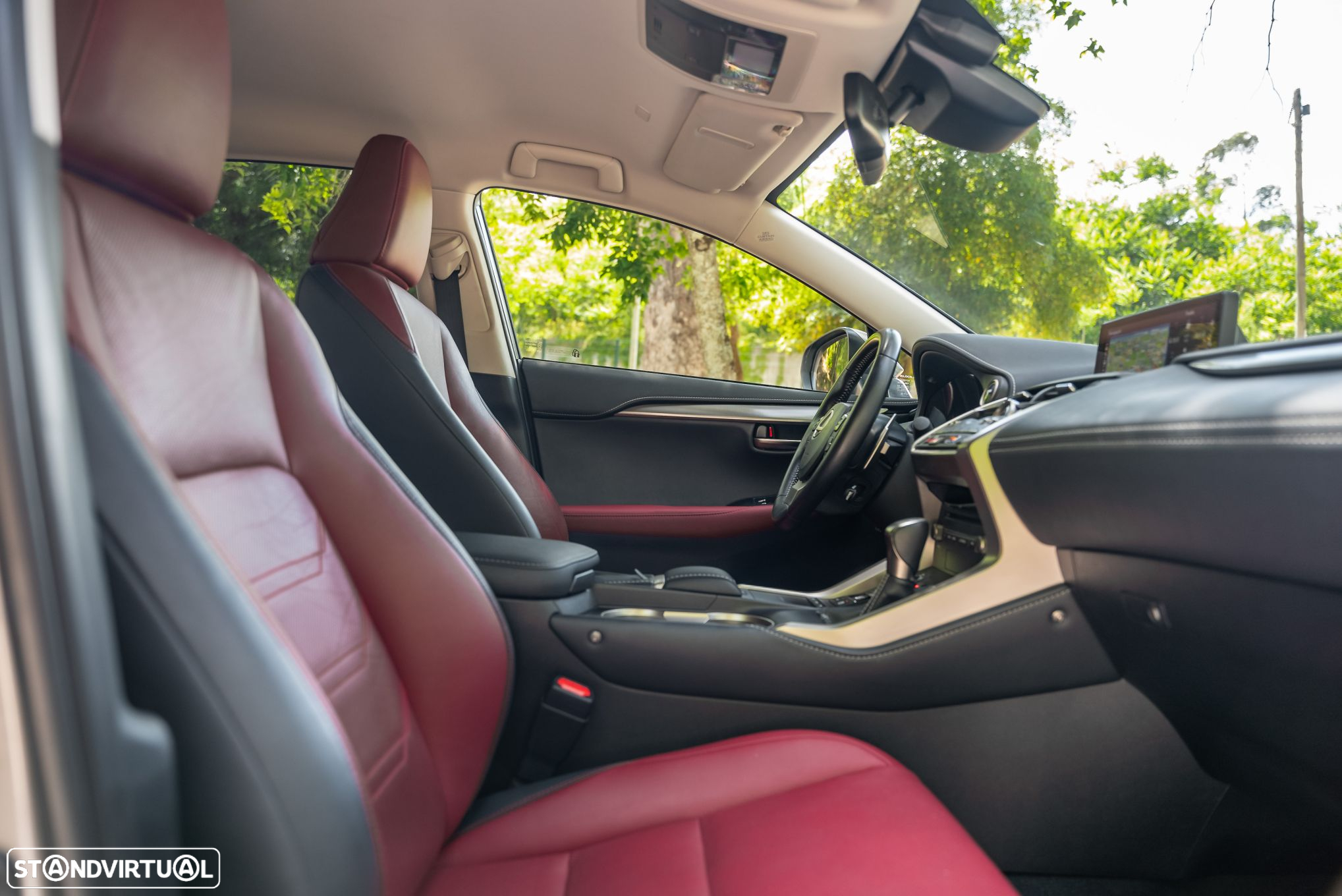 Lexus NX 300h - 12