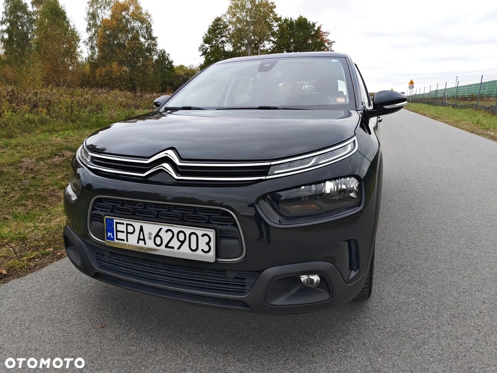 Citroen C4 Cactus 2019 photo 4