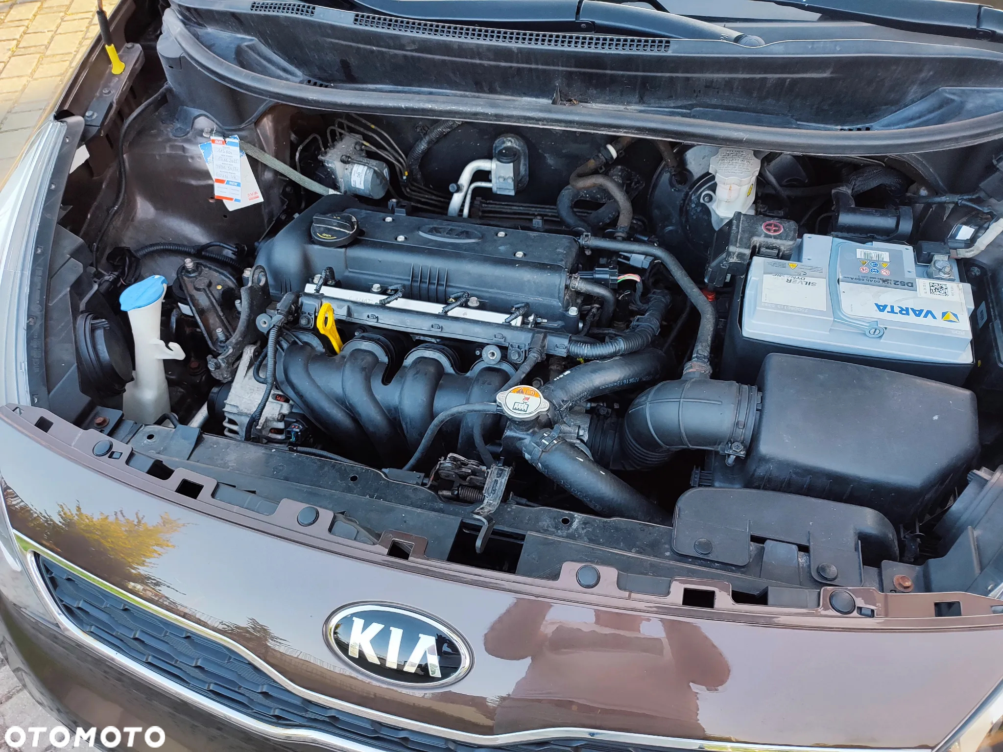 Kia Rio 1.4 Dream Team Edition - 22
