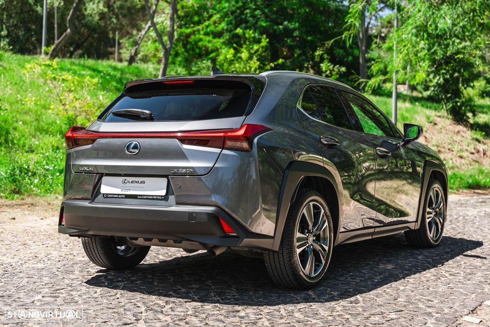 Lexus UX 250h Luxury - 6