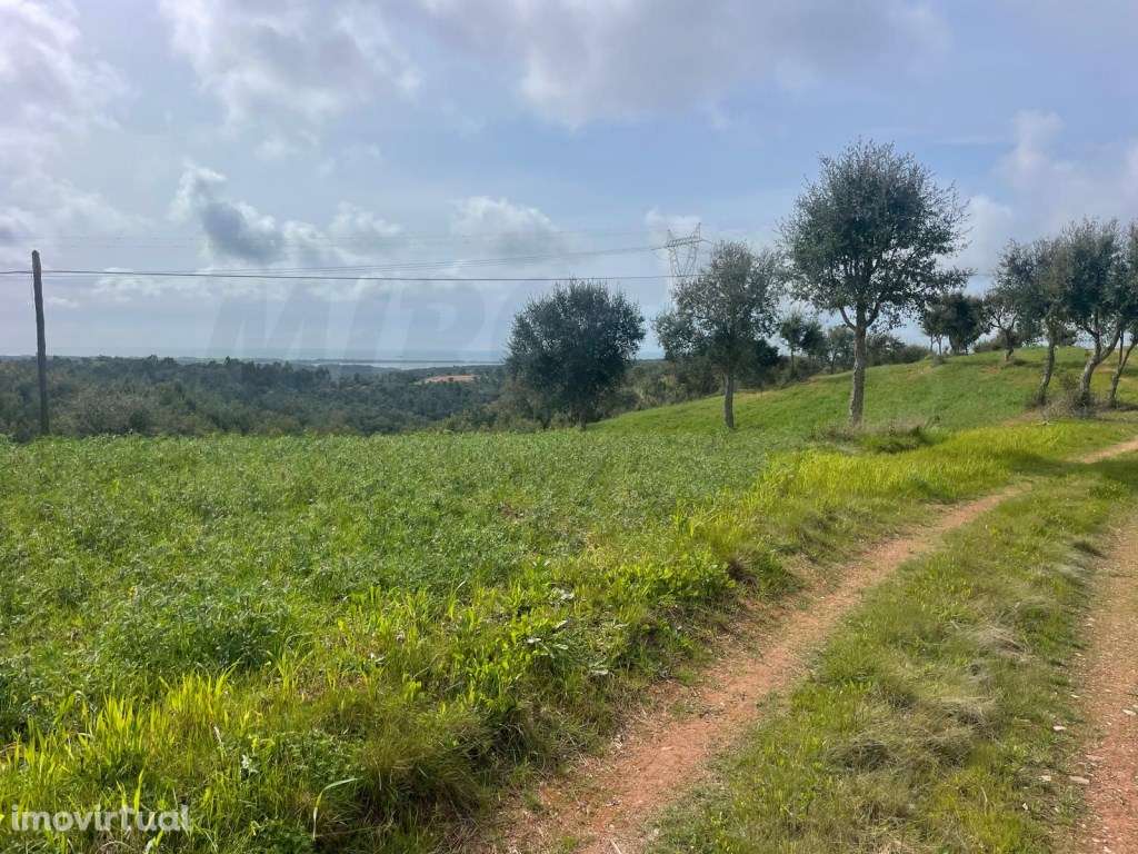 Terreno Rústico Venda Sines - Grande imagem: 4/19