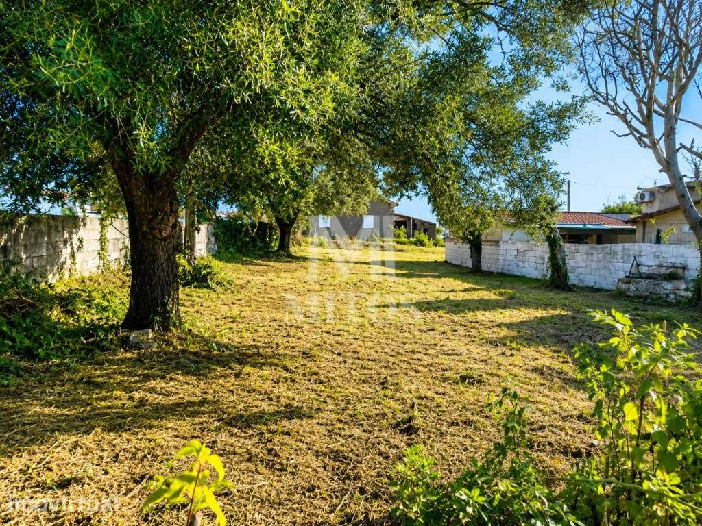 Terreno de construção para venda em Barroselas - Viana do Castelo - Grande imagem: 4/6