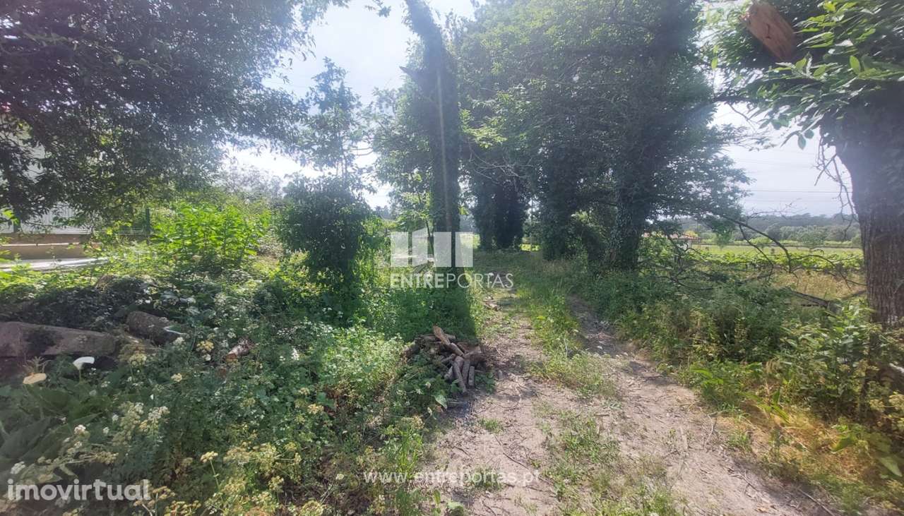 Venda de terreno para construção com 628m², Vila Fria, Viana do Cas - Grande imagem: 5/30