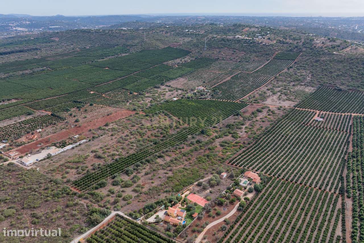 2 Terrenos Rústicos à Venda em Algoz - Grande imagem: 5/12