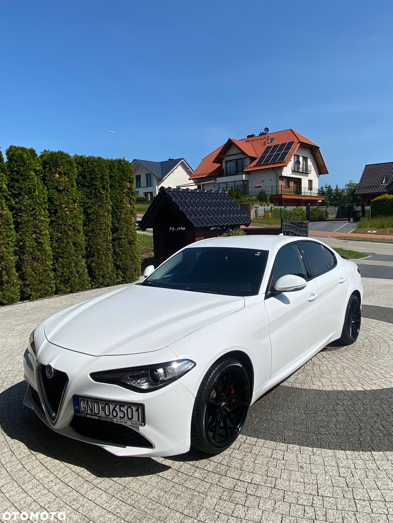 Alfa Romeo Giulia 2.0 Turbo Estrema Q4 - 1
