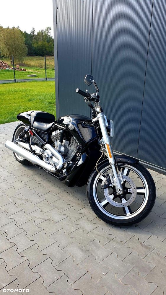 Harley-Davidson V-Rod Muscle - 4