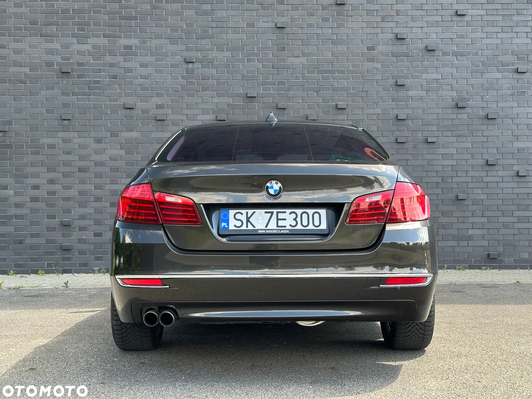 BMW Seria 5 520d Luxury Line - 11
