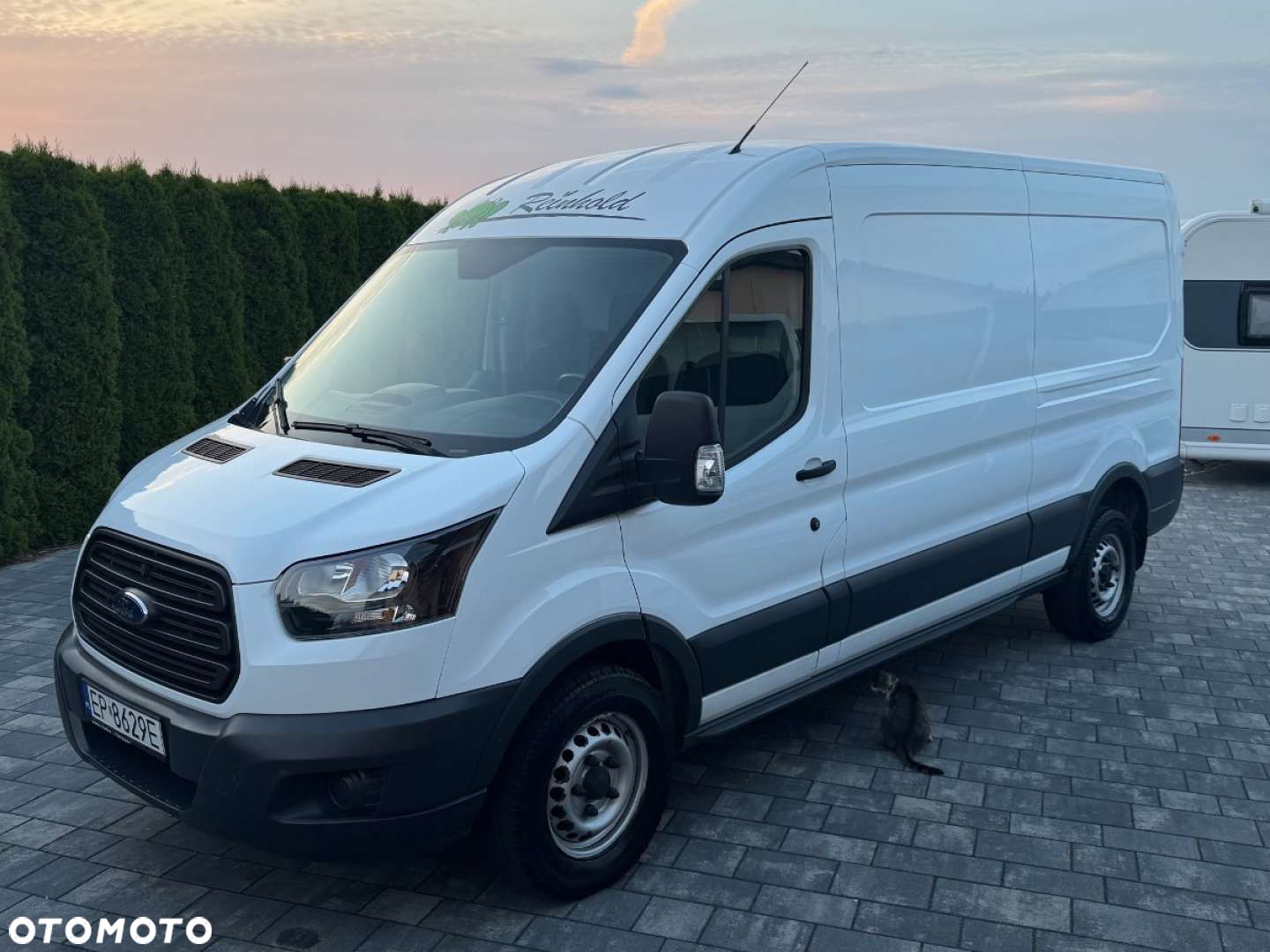 Ford Transit - 1