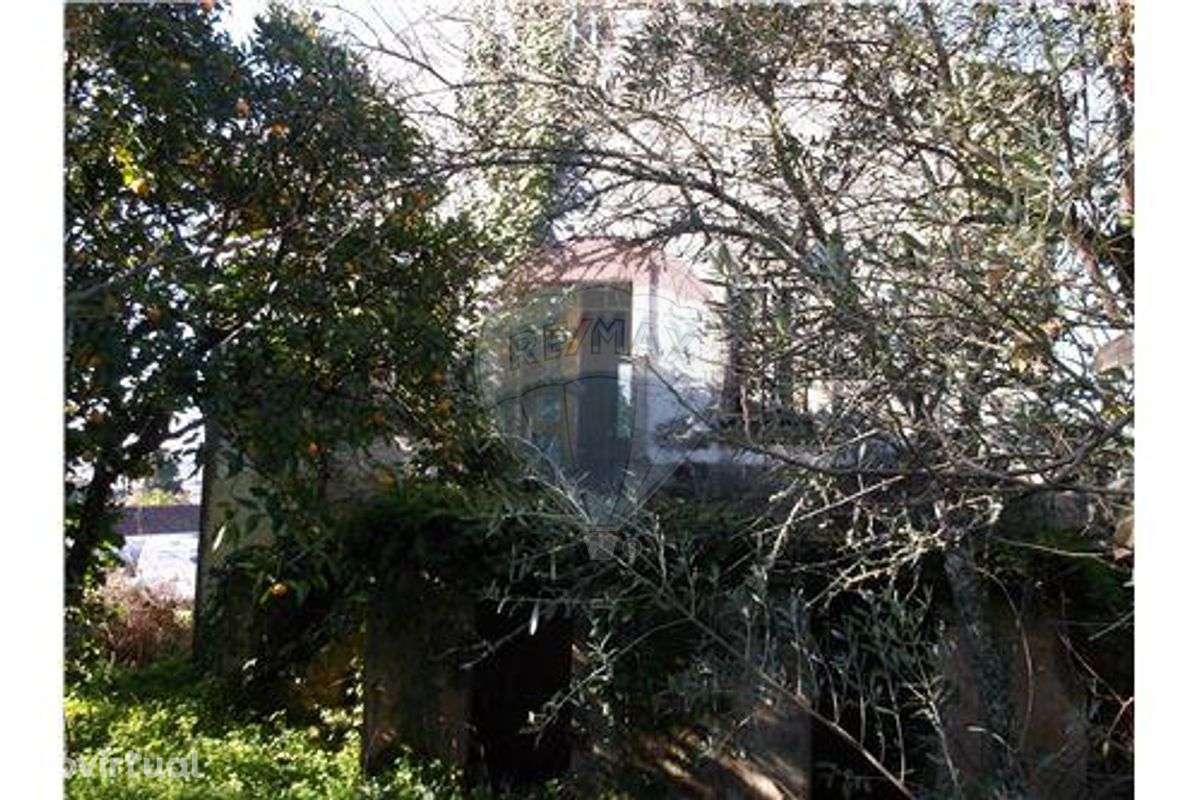 Moradia para recuperação - Grande imagem: 5/10