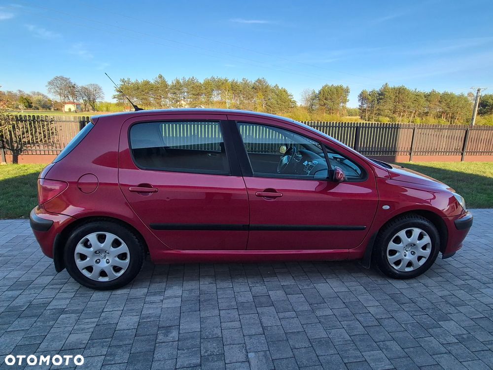 Peugeot 307 1.4 XS - 6