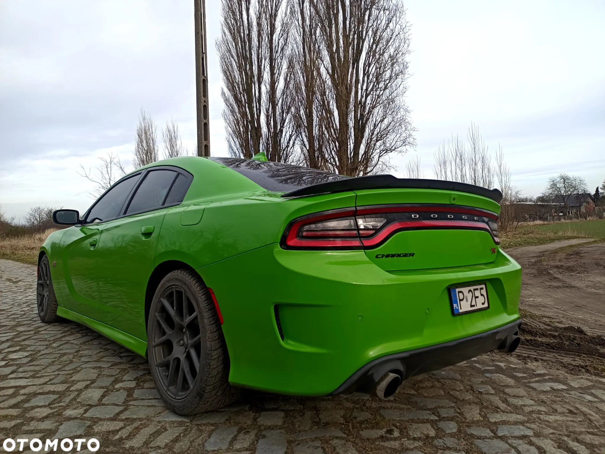 Dodge Charger 6.4 Scat Pack - 4