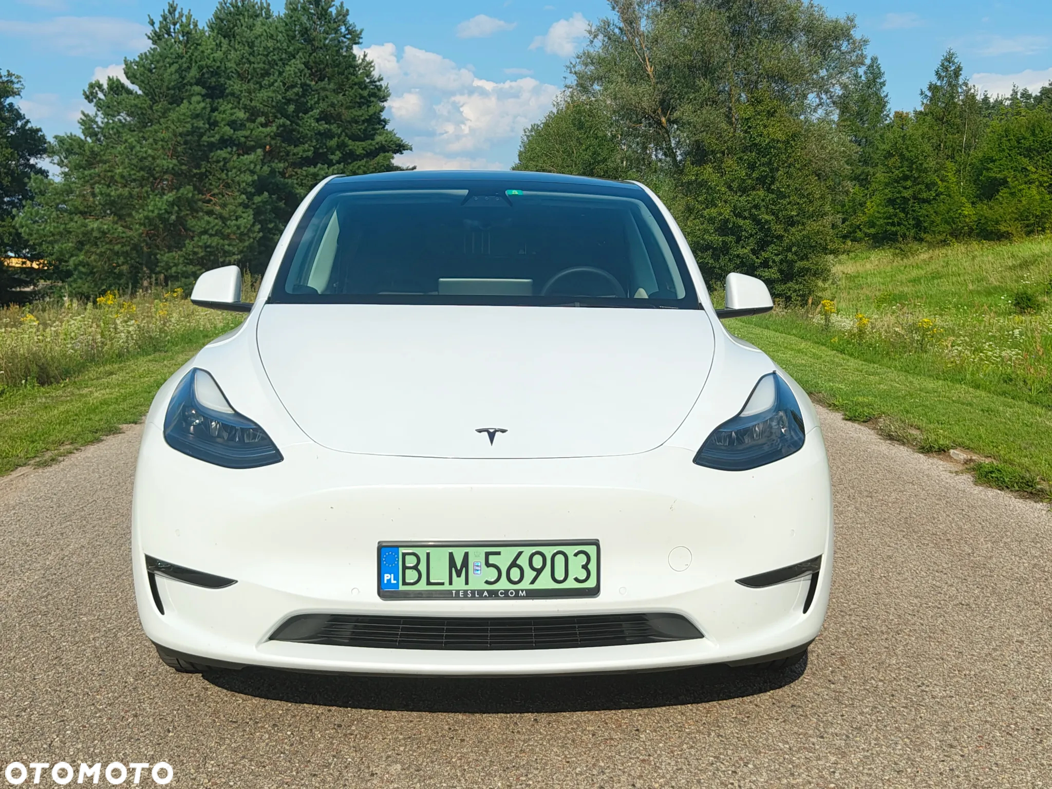 Tesla Y Model Long Range Dual Motor AWD - 2
