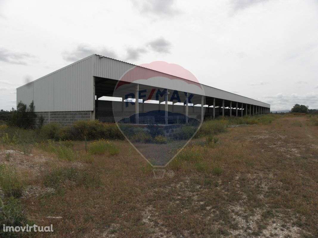 Quinta T2 para venda - Grande imagem: 3/26