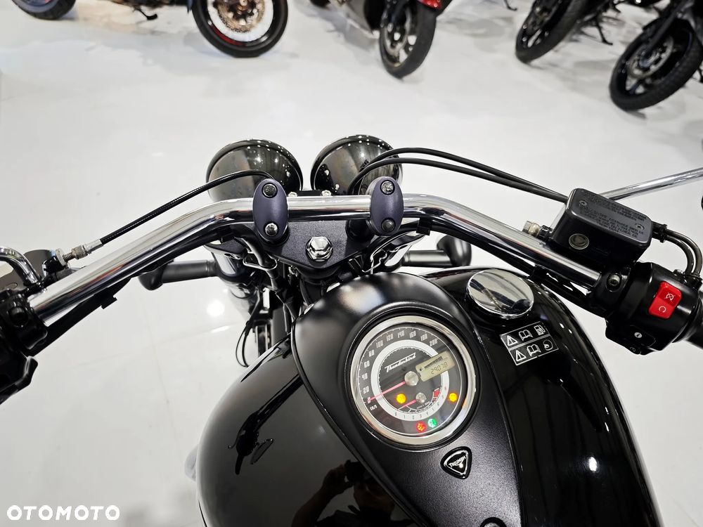 Triumph Thunderbird - 6