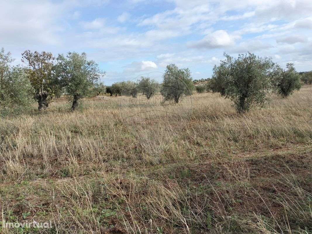 Terreno  para venda - Grande imagem: 2/7