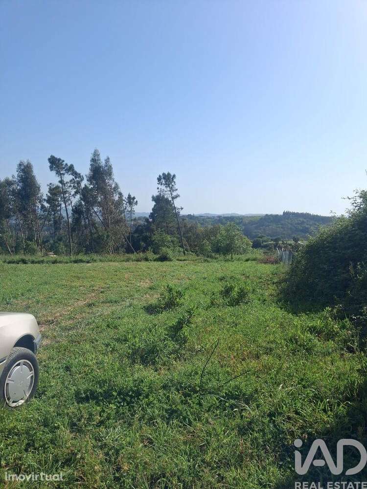 Terreno Agrícola em Alcobaça e Vestiaria - Grande imagem: 5/12