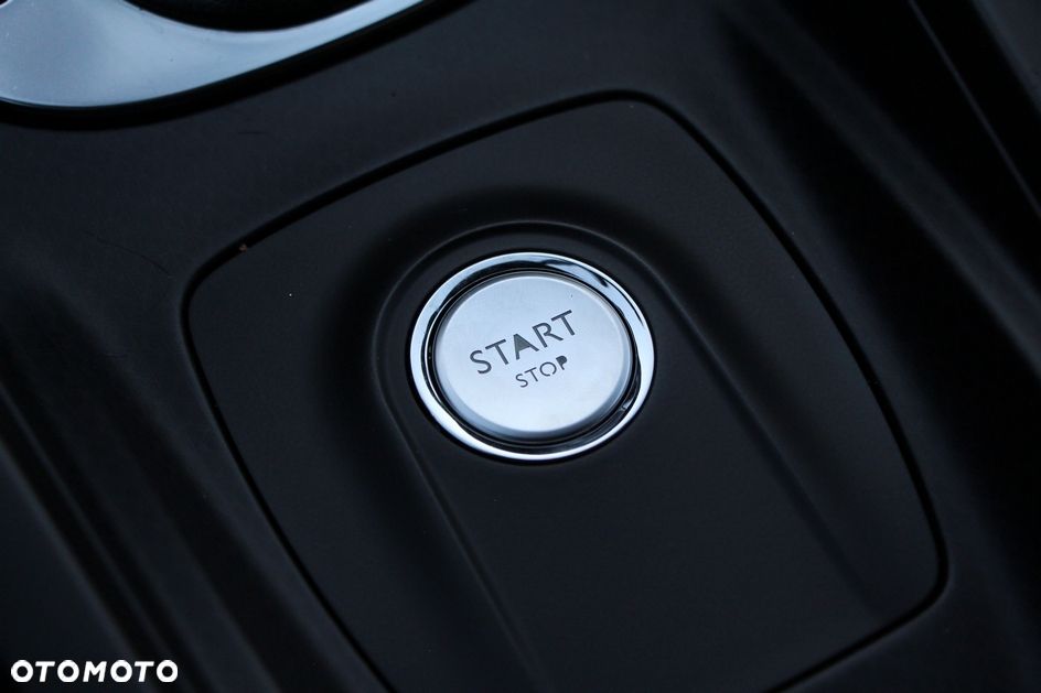 DS Automobiles DS 4 - 20