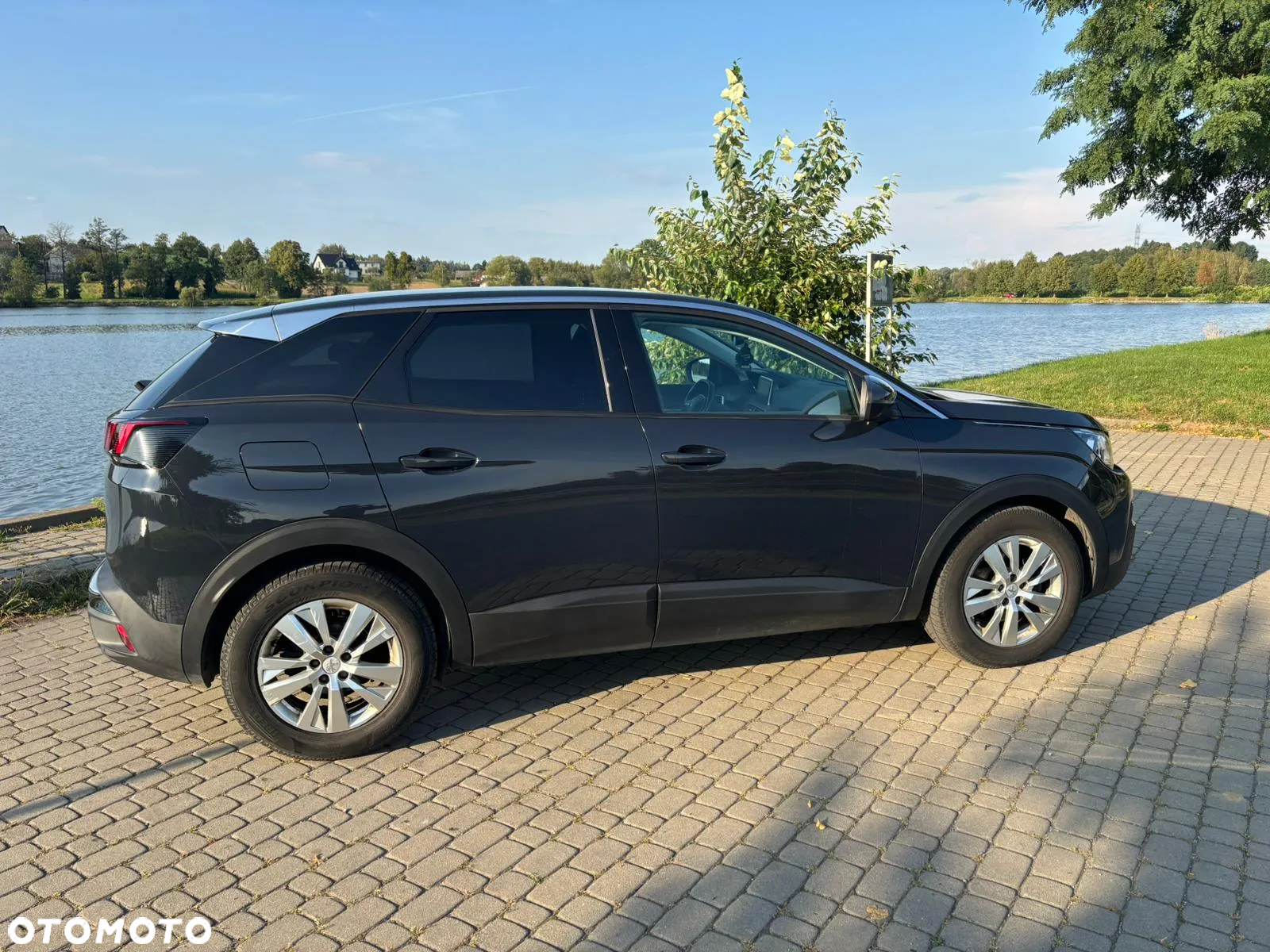 Peugeot 3008 1.6 BlueHDi Active S&S - 9