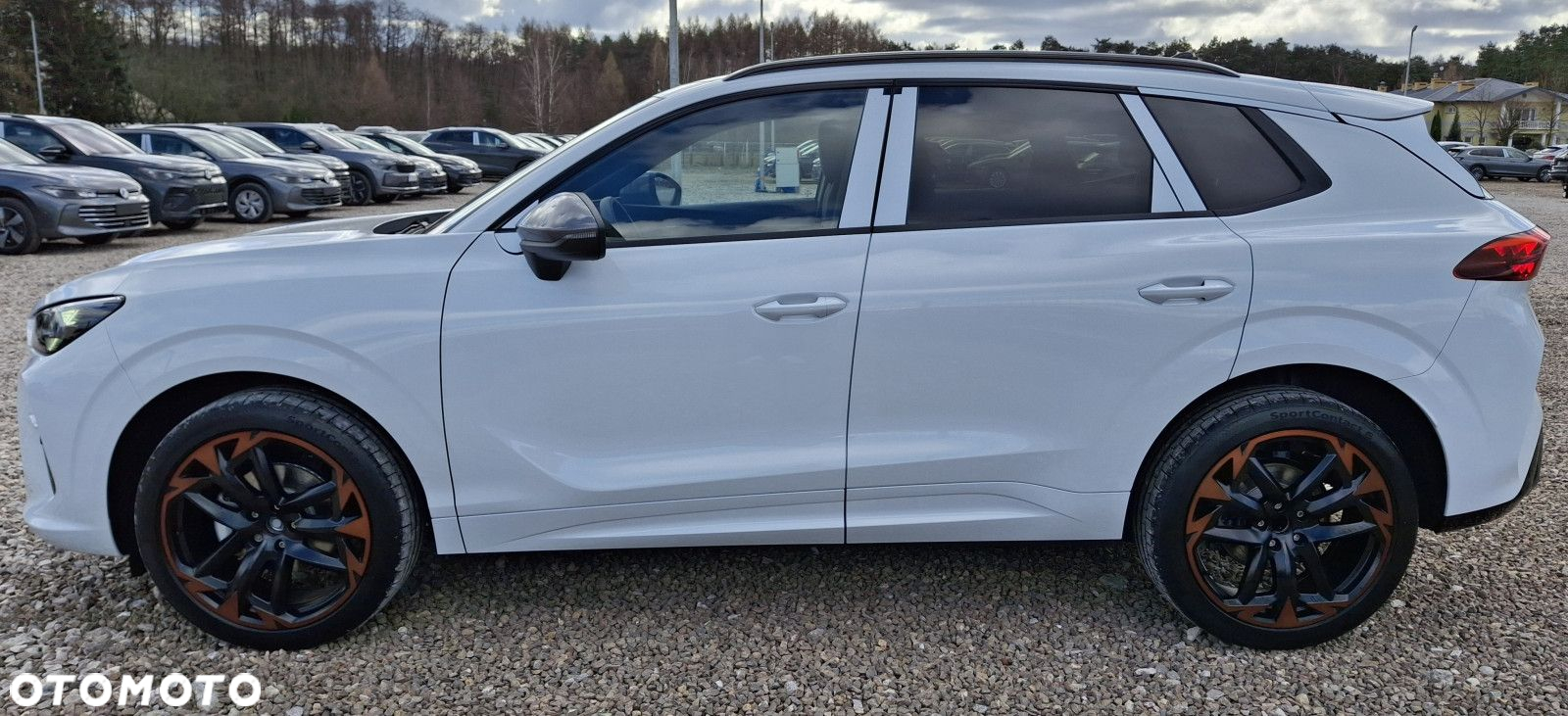Cupra Terramar - 6