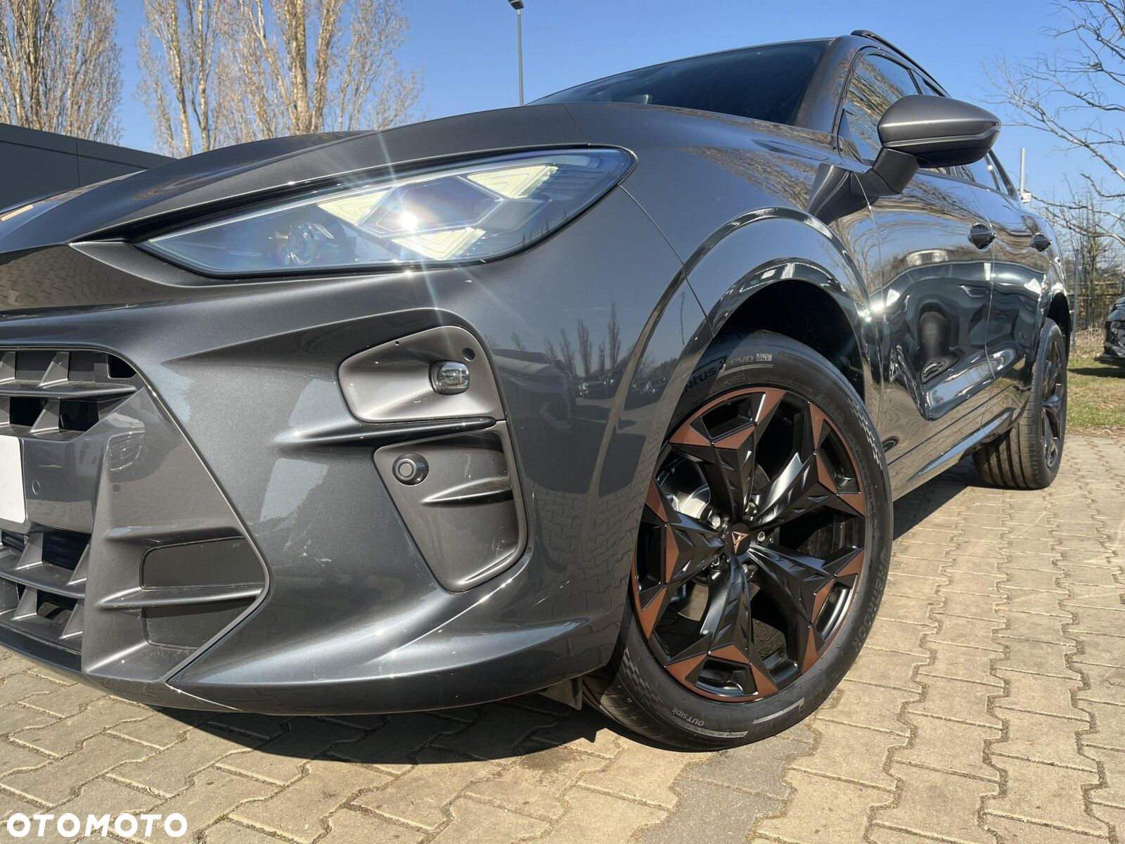 Cupra Terramar - 35