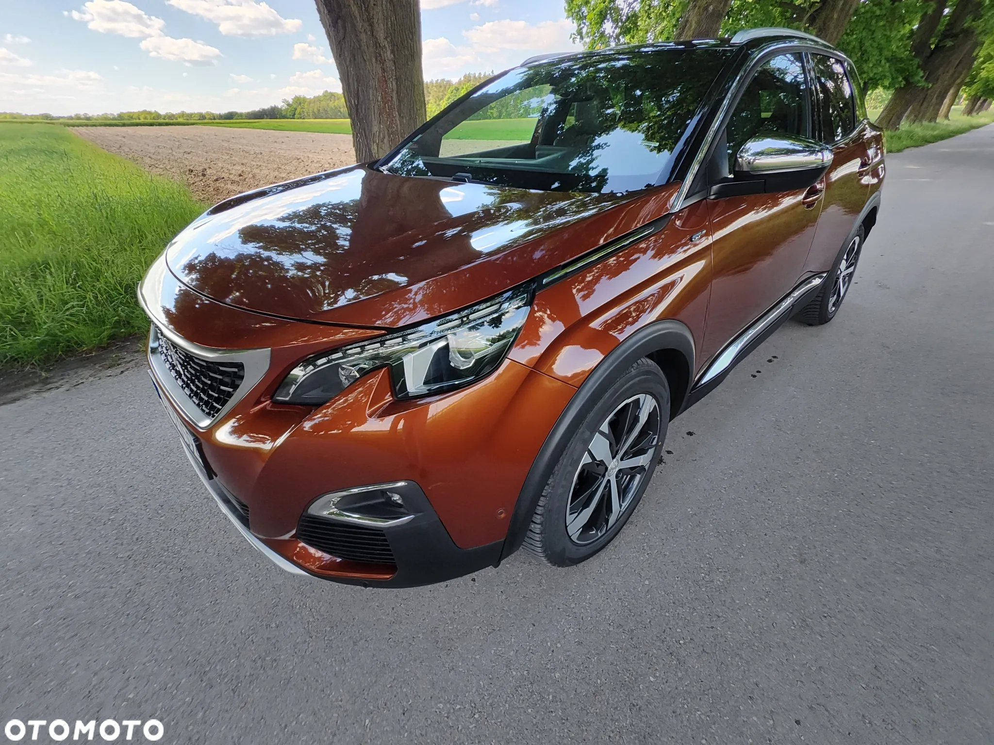 Peugeot 3008 2.0 BlueHDi GT S&S EAT8 - 14
