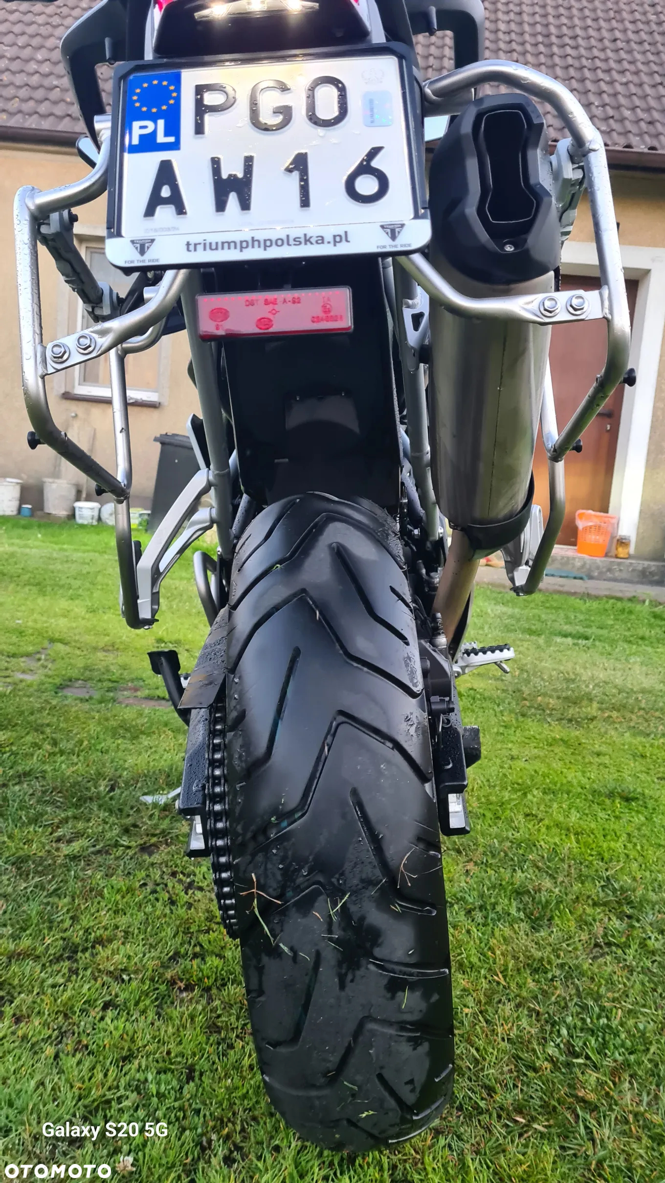 Triumph Tiger - 11