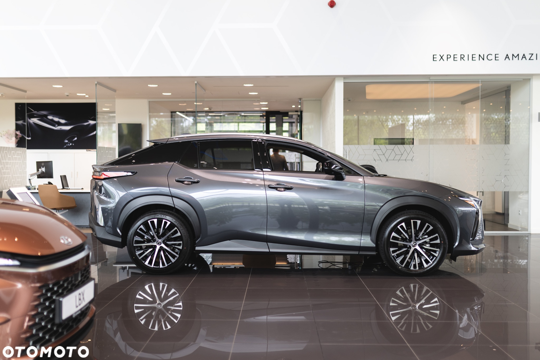 Lexus RZ 300e Prestige - 8