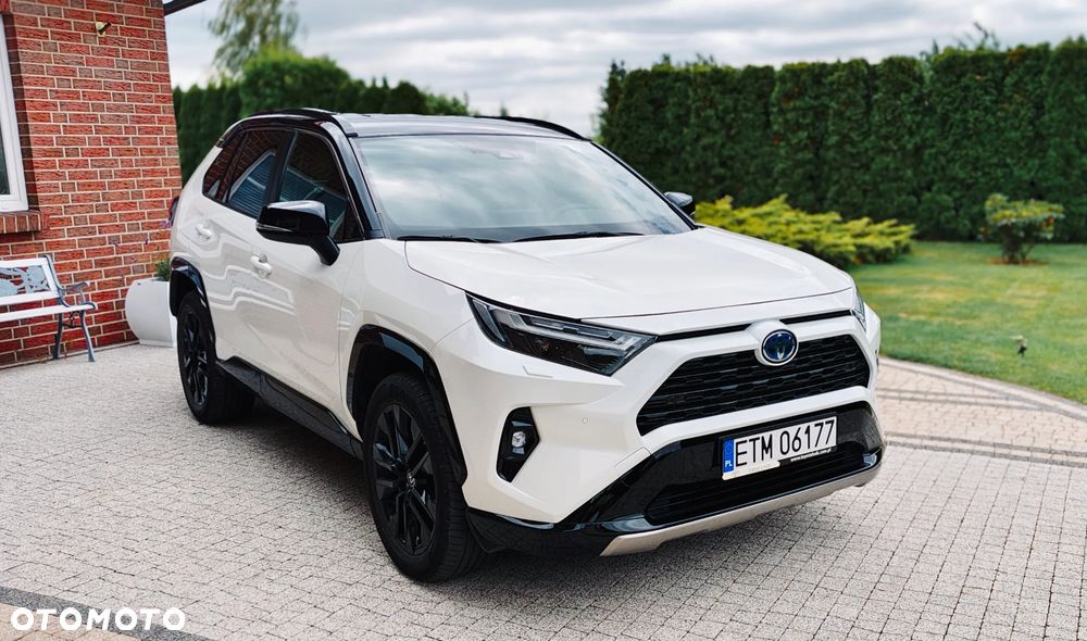 Toyota RAV4 2.5 Hybrid Selection 4x2 - 3