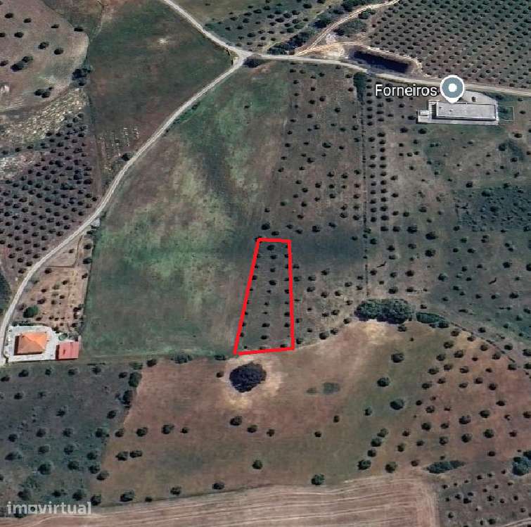 Terreno rústico de 2660 m2 em Tremês, Santarém - Grande imagem: 3/8