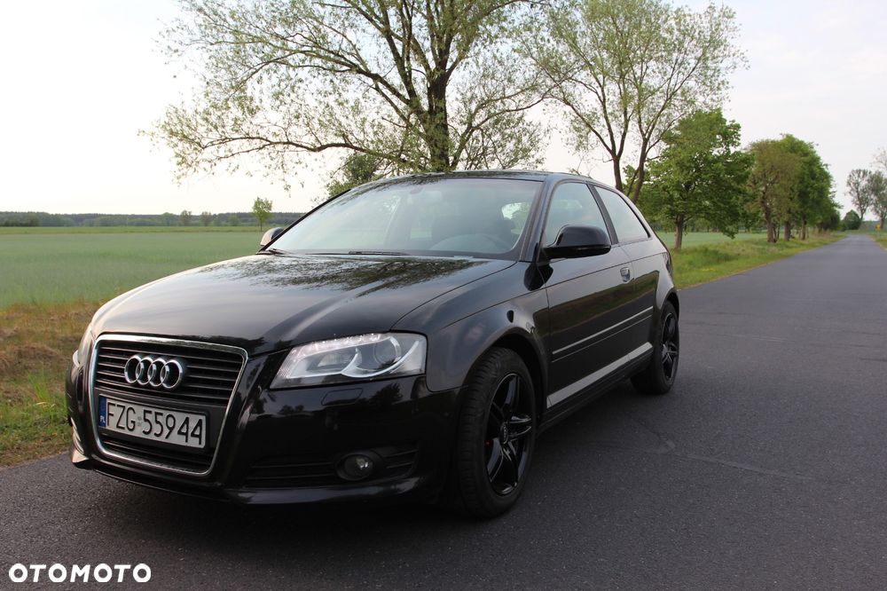 Audi A3 3-drzwiowe 1.9 TDI DPF Ambiente - 2