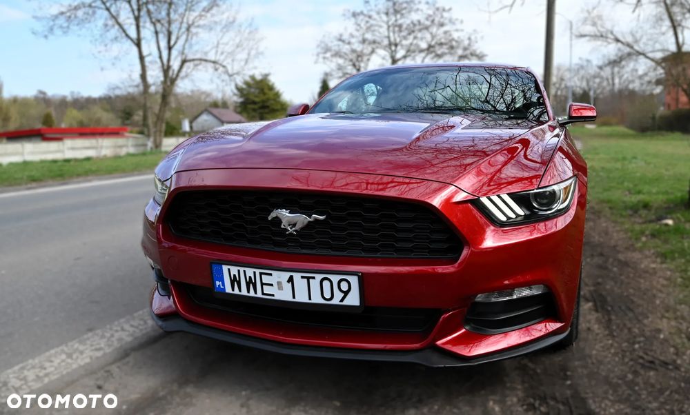 Ford Mustang - 10