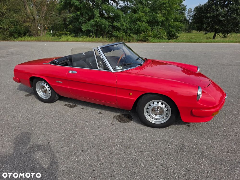 Alfa Romeo Spider - 33