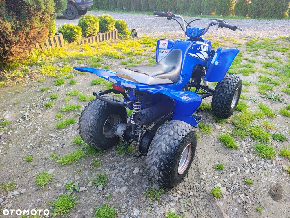 Yamaha Raptor - 5