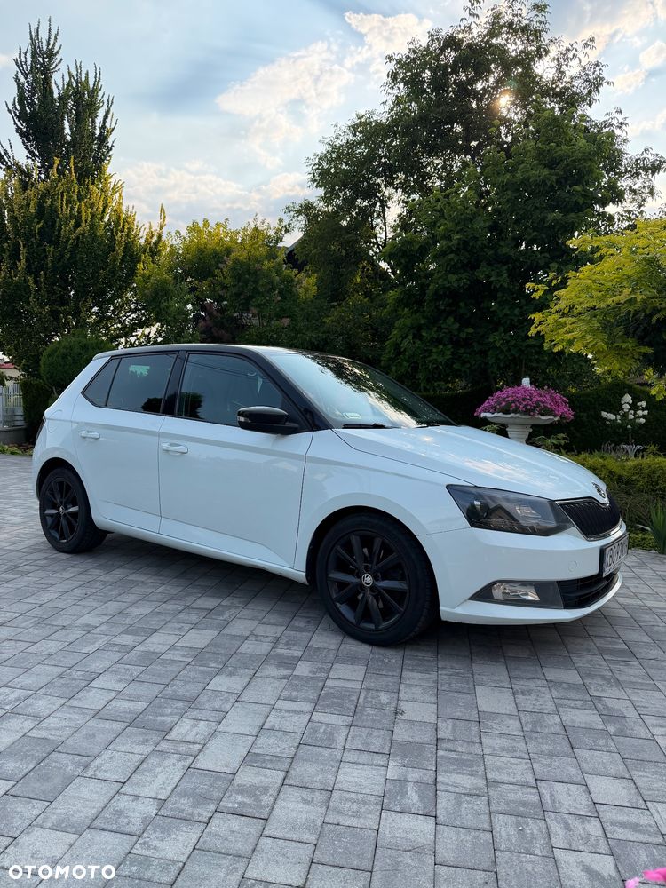 Skoda Fabia 1.4 TDI Monte Carlo - 11