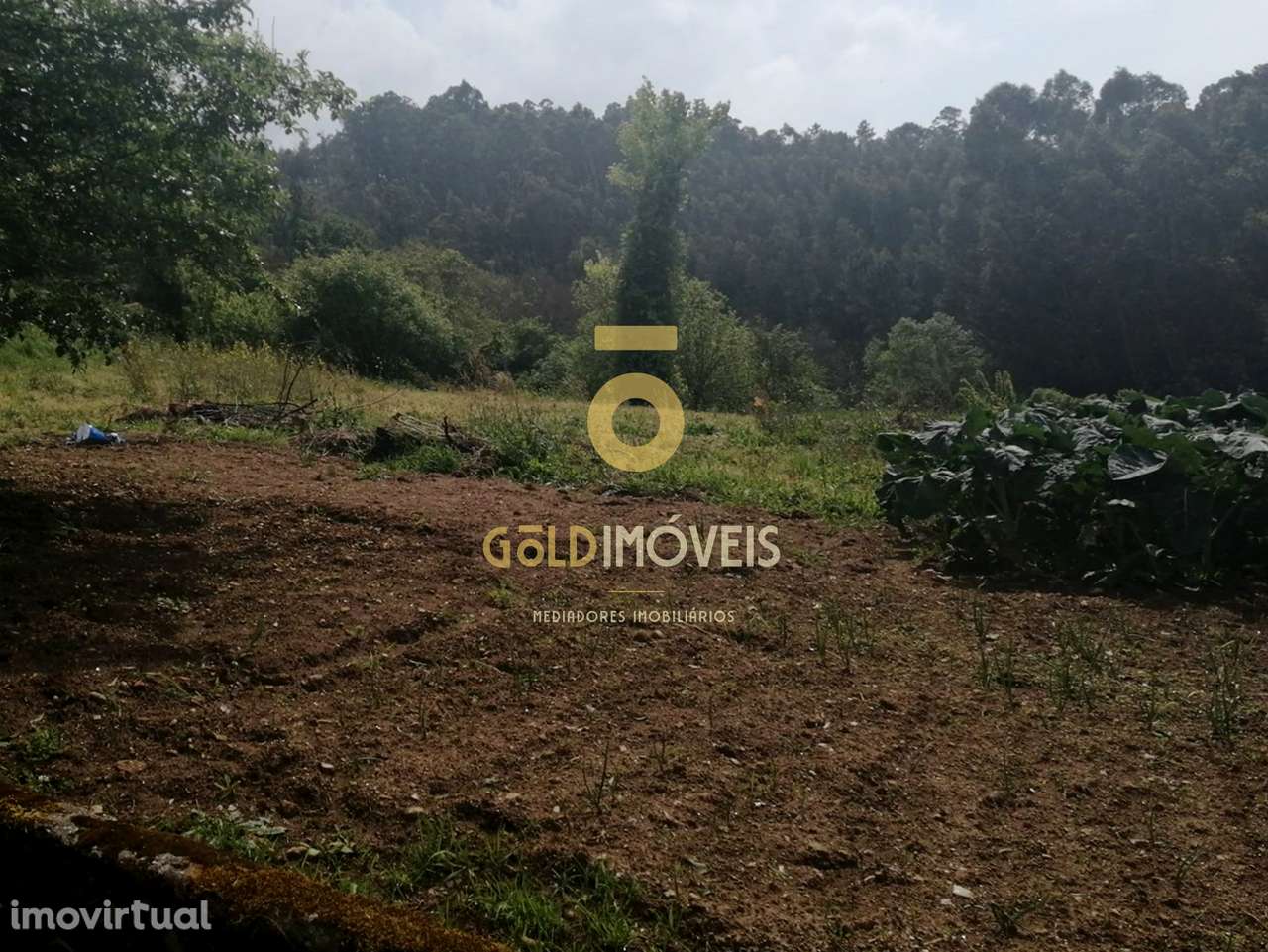 Terreno  Venda em Chave,Arouca - Grande imagem: 3/6