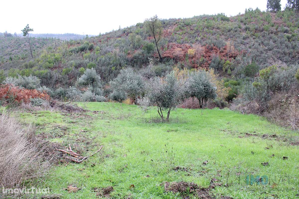 Terreno - Grande imagem: 2/29