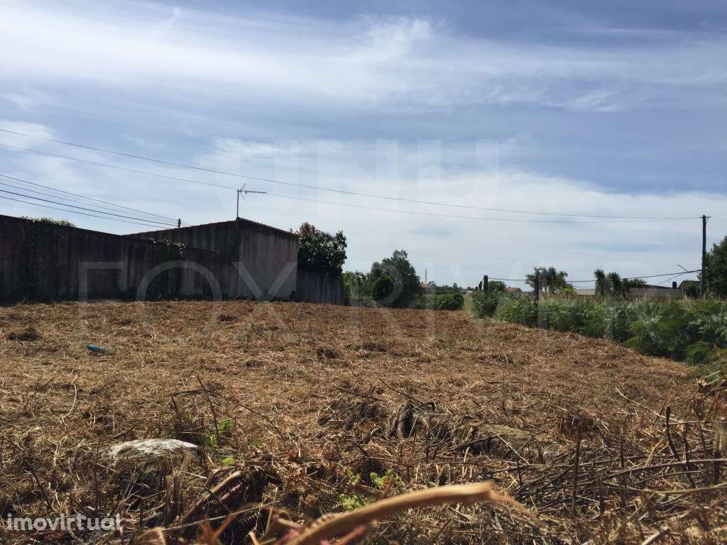 Terreno para Construção em Chafé - Grande imagem: 3/8