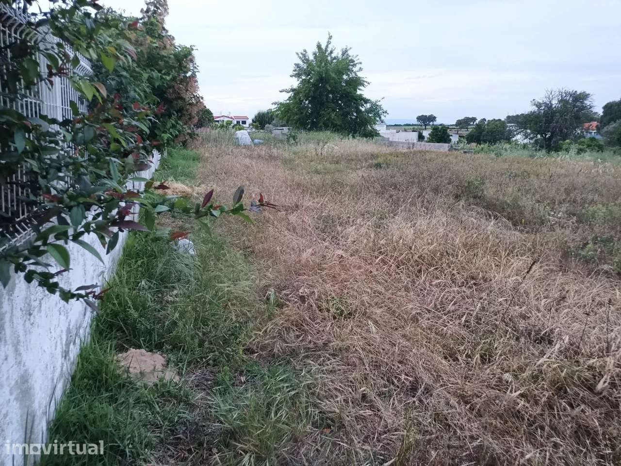 Terreno Residencial em Frade de Baixo, Alpiarça - Grande imagem: 3/22