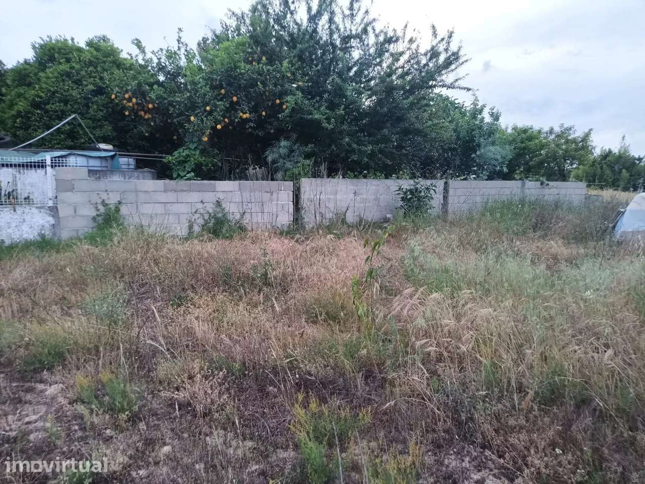 Terreno Residencial em Frade de Baixo, Alpiarça - Grande imagem: 4/22