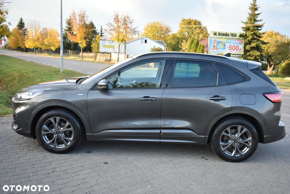 Ford Kuga 2.0 EcoBlue Hybrid ST-LINE - 3