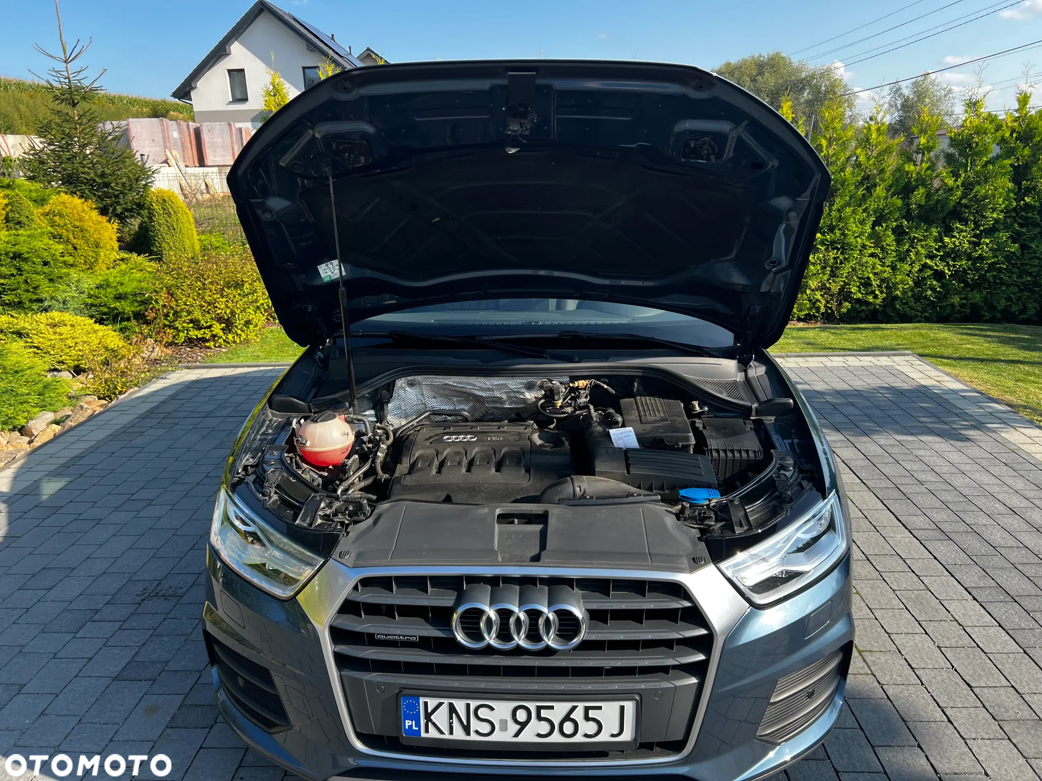 Audi Q3 - 14