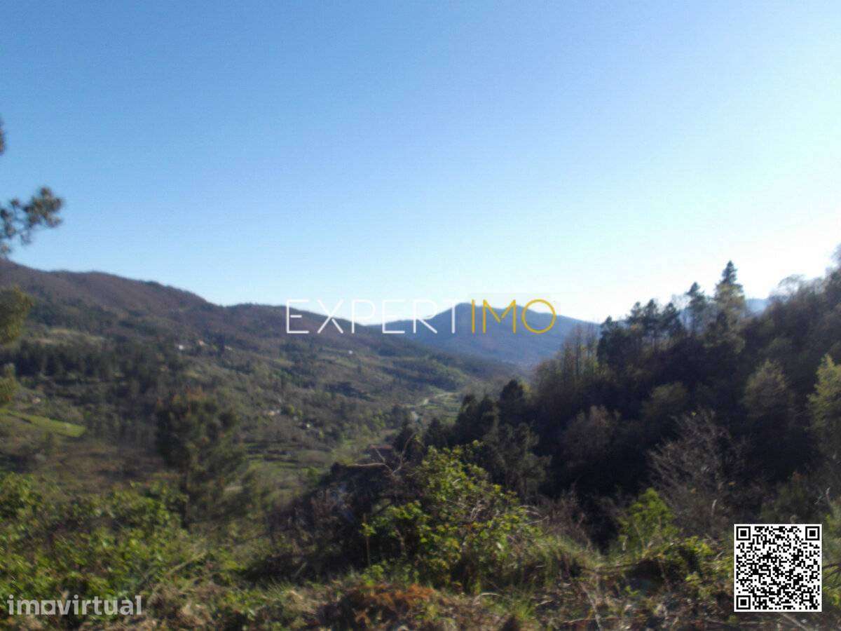 Quinta serra da estrela, terreno junto ao núcleo urbano - Guarda - Grande imagem: 2/44