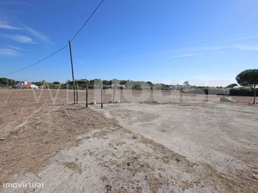 Quinta com excelente moradia, armazém e terreno rústico com 38.500 m2 - Grande imagem: 5/51