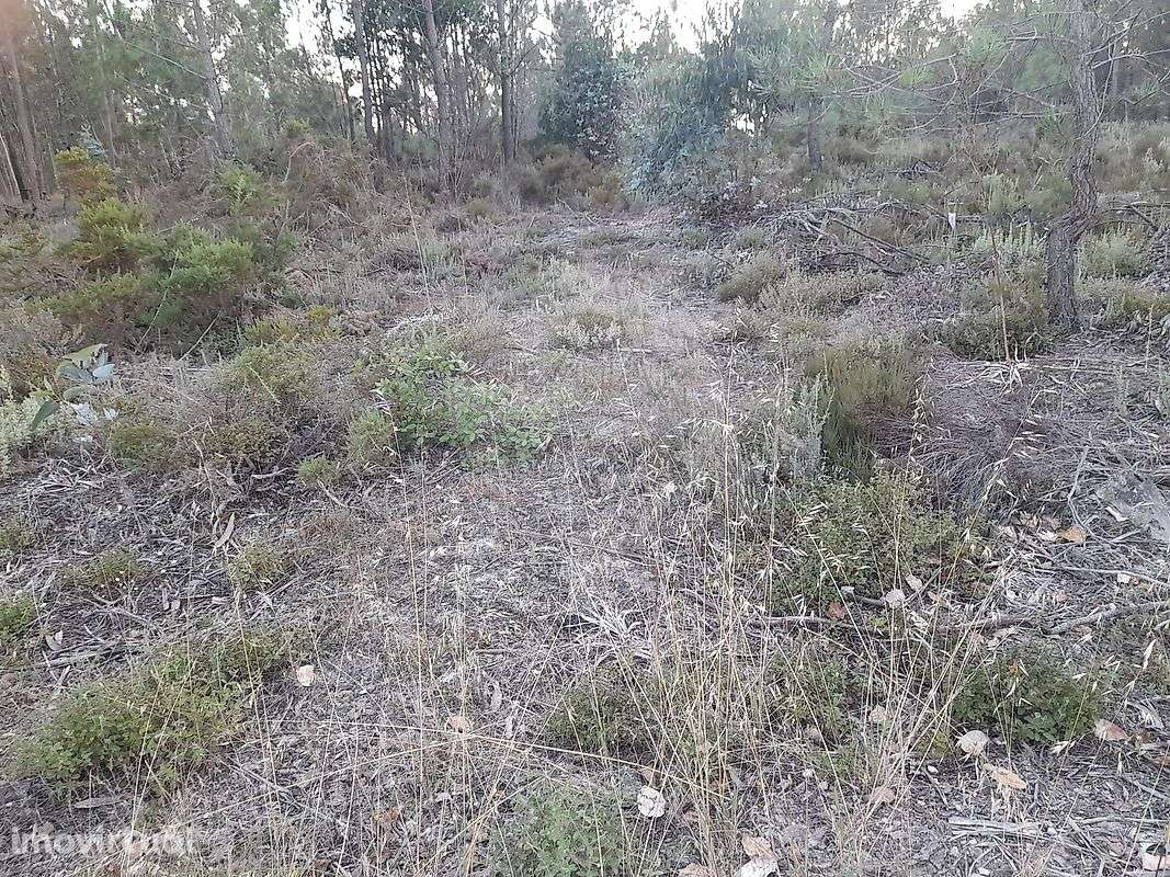 Terreno  para venda - Grande imagem: 2/3