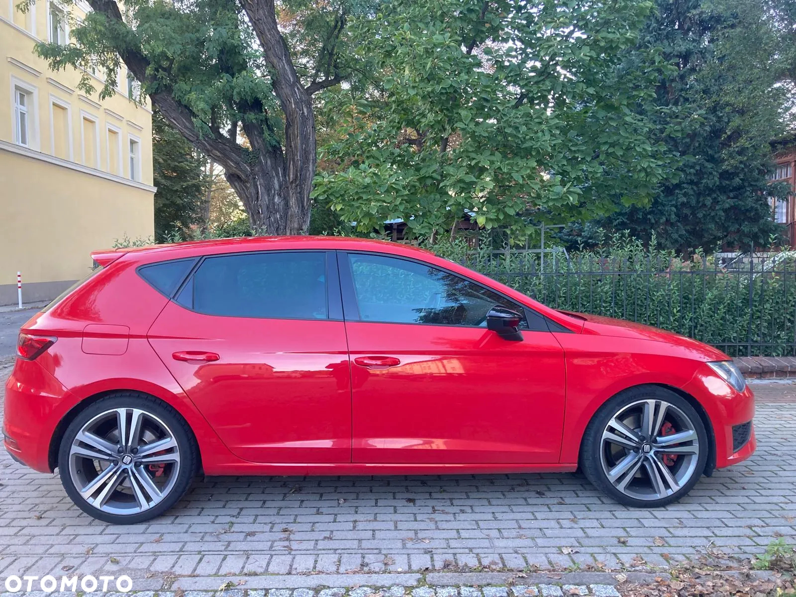 Seat Leon 2.0 TSI Cupra 290 S&S DSG - 3