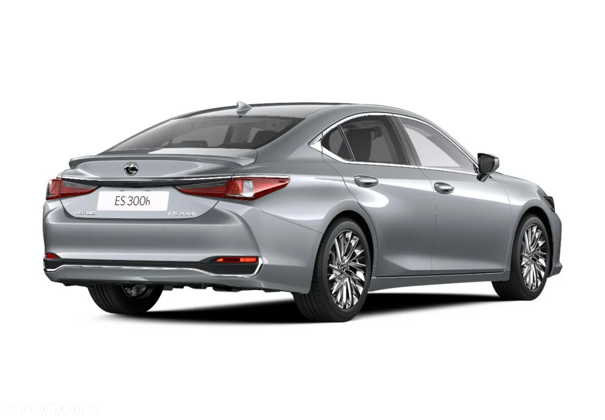 Lexus ES 300h Omotenashi - 4